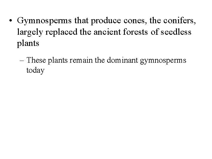  • Gymnosperms that produce cones, the conifers, largely replaced the ancient forests of