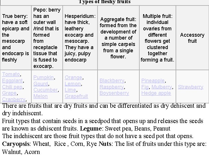 Types of fleshy fruits Pepo: berry True berry: has an have a soft outer