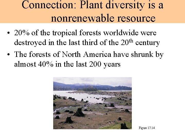 Connection: Plant diversity is a nonrenewable resource • 20% of the tropical forests worldwide