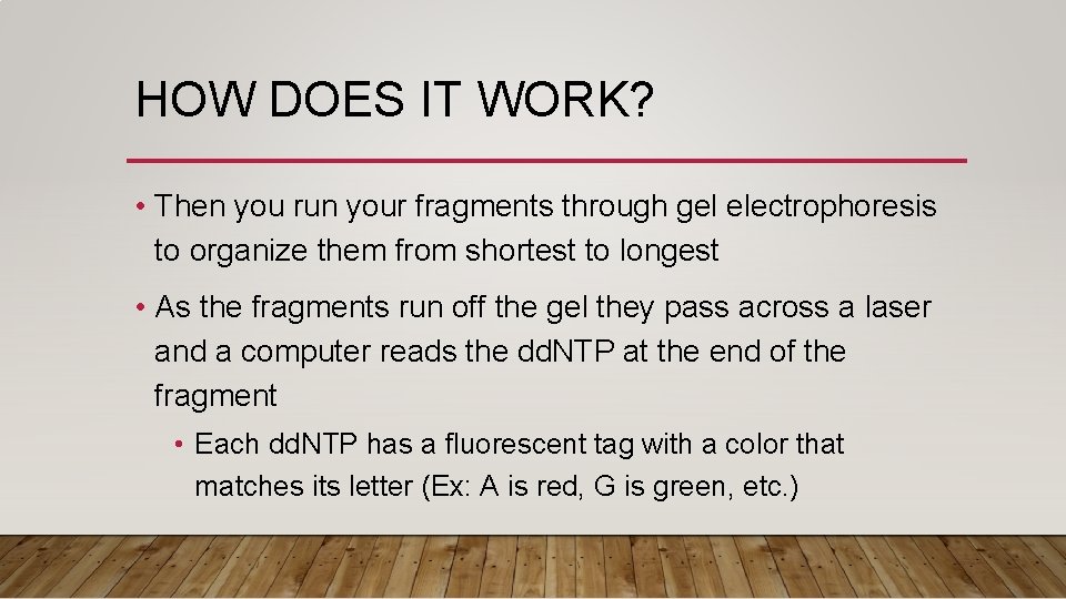 HOW DOES IT WORK? • Then you run your fragments through gel electrophoresis to