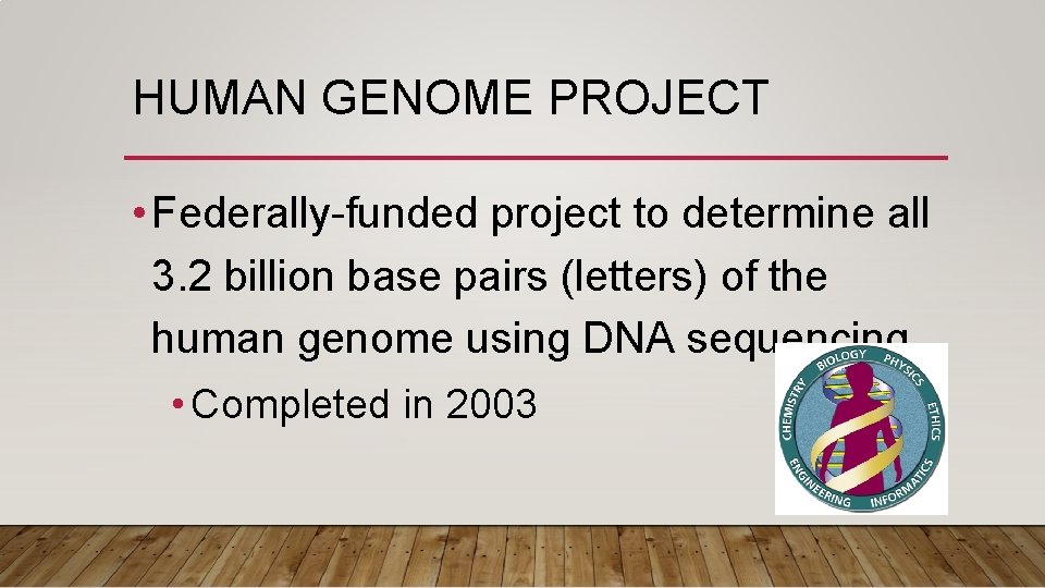HUMAN GENOME PROJECT • Federally-funded project to determine all 3. 2 billion base pairs