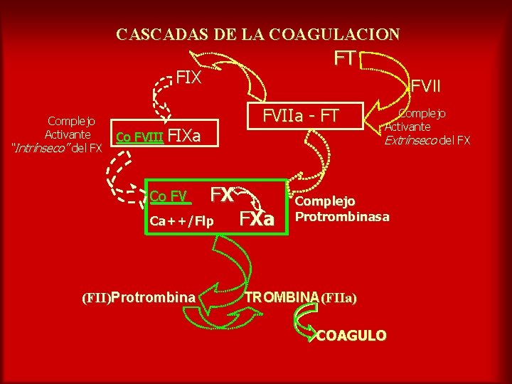 CASCADAS DE LA COAGULACION FT FIX Complejo Activante “Intrínseco” del FX FVIIa - FT
