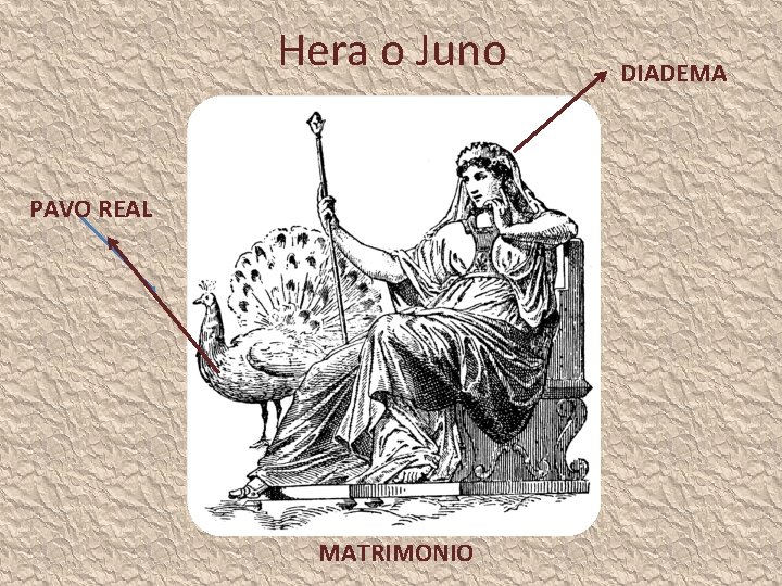 Hera o Juno PAVO REAL MATRIMONIO DIADEMA 