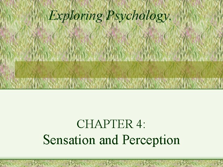 Exploring Psychology, CHAPTER 4: Sensation and Perception 