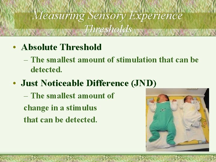 Measuring Sensory Experience Thresholds • Absolute Threshold – The smallest amount of stimulation that