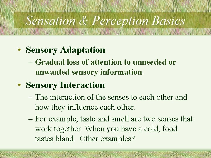 Sensation & Perception Basics • Sensory Adaptation – Gradual loss of attention to unneeded