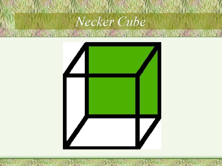 Necker Cube 