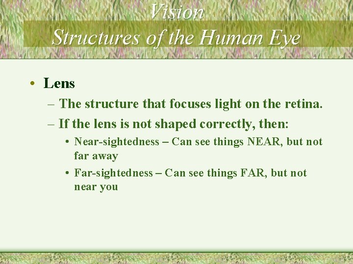 Vision Structures of the Human Eye • Lens – The structure that focuses light