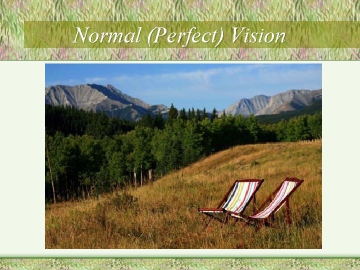 Normal (Perfect) Vision 