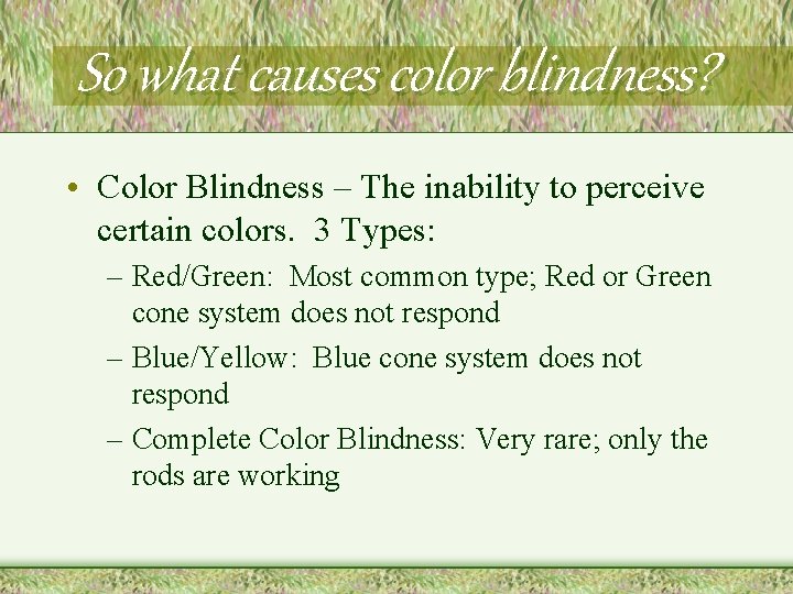 So what causes color blindness? • Color Blindness – The inability to perceive certain