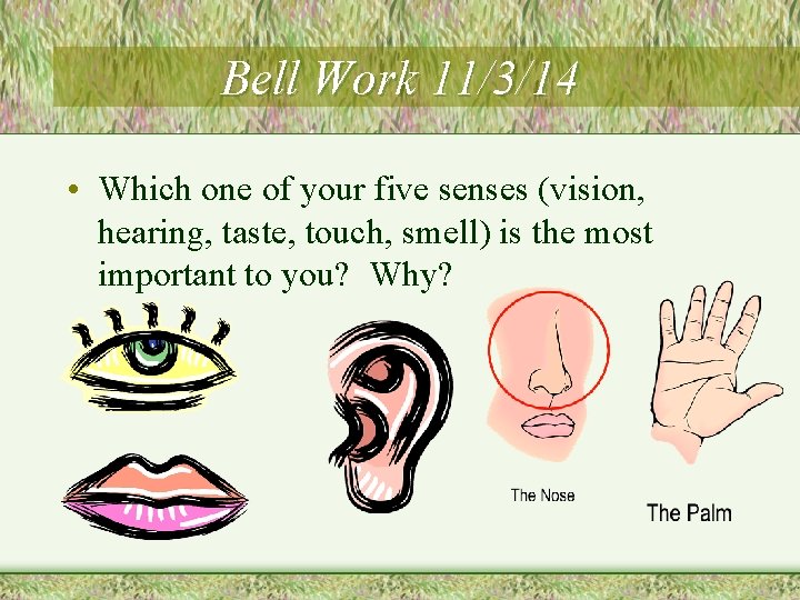 Bell Work 11/3/14 • Which one of your five senses (vision, hearing, taste, touch,