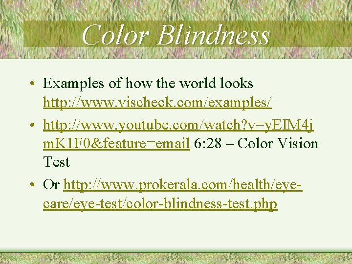 Color Blindness • Examples of how the world looks http: //www. vischeck. com/examples/ •