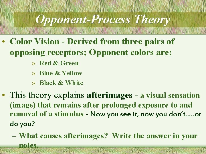 Opponent-Process Theory • Color Vision - Derived from three pairs of opposing receptors; Opponent