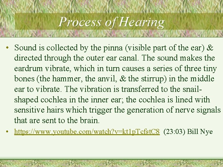 Process of Hearing • Sound is collected by the pinna (visible part of the