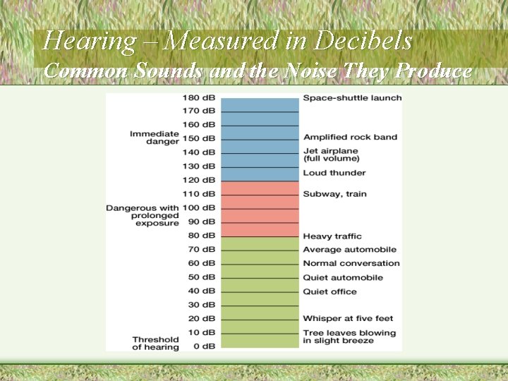Hearing – Measured in Decibels Common Sounds and the Noise They Produce 