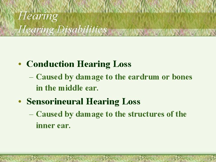 Hearing Disabilities • Conduction Hearing Loss – Caused by damage to the eardrum or