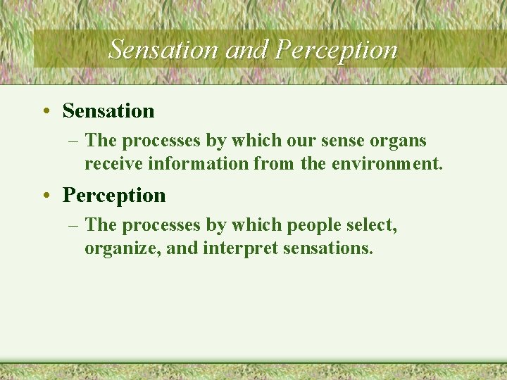 Sensation and Perception • Sensation – The processes by which our sense organs receive