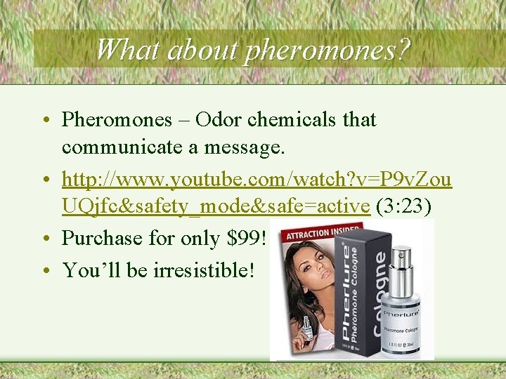 What about pheromones? • Pheromones – Odor chemicals that communicate a message. • http: