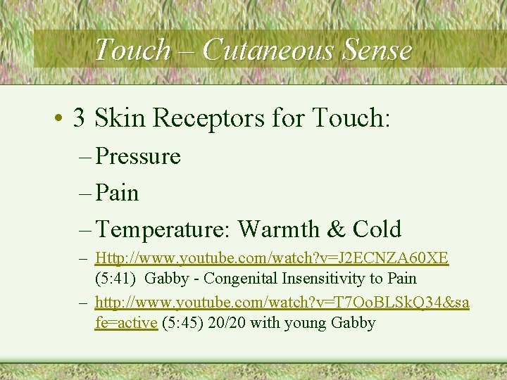 Touch – Cutaneous Sense • 3 Skin Receptors for Touch: – Pressure – Pain