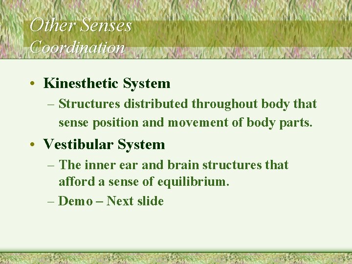 Other Senses Coordination • Kinesthetic System – Structures distributed throughout body that sense position