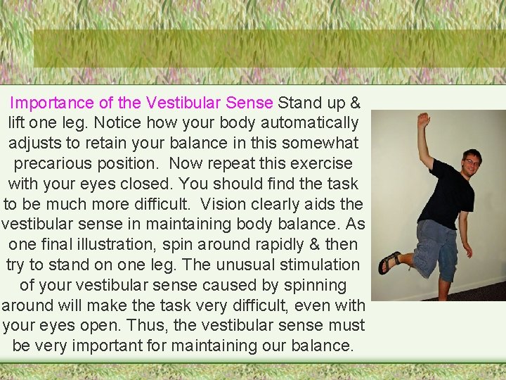 Importance of the Vestibular Sense Stand up & lift one leg. Notice how your