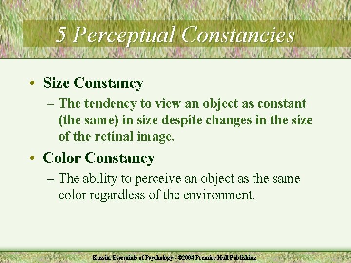 5 Perceptual Constancies • Size Constancy – The tendency to view an object as
