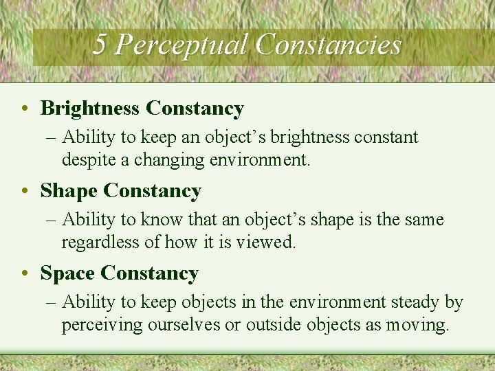 5 Perceptual Constancies • Brightness Constancy – Ability to keep an object’s brightness constant