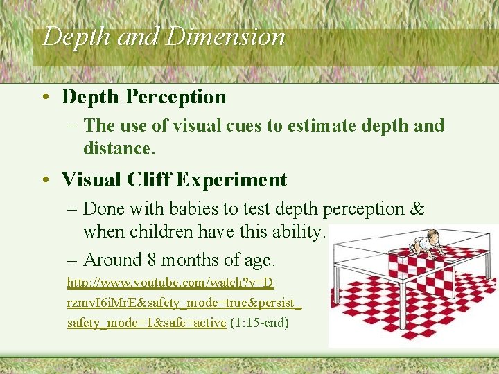 Depth and Dimension • Depth Perception – The use of visual cues to estimate