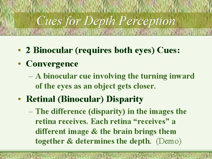 Cues for Depth Perception • 2 Binocular (requires both eyes) Cues: • Convergence –