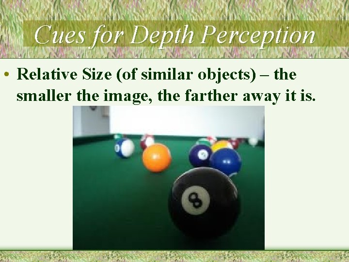 Cues for Depth Perception • Relative Size (of similar objects) – the smaller the