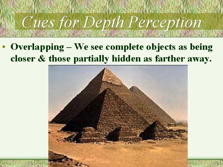 Cues for Depth Perception • Overlapping – We see complete objects as being closer