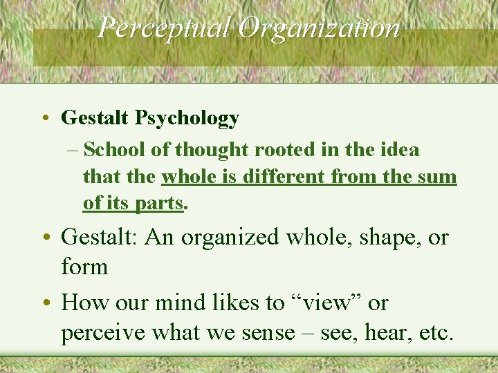 Perceptual Organization • Gestalt Psychology – School of thought rooted in the idea that