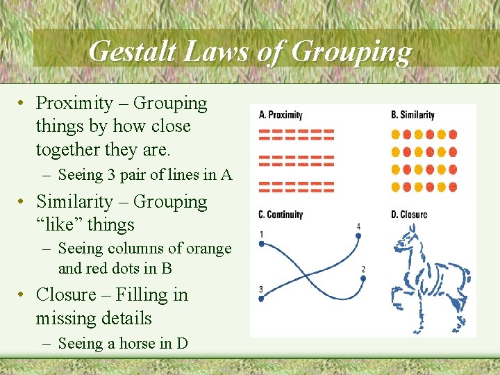 Gestalt Laws of Grouping • Proximity – Grouping things by how close together they