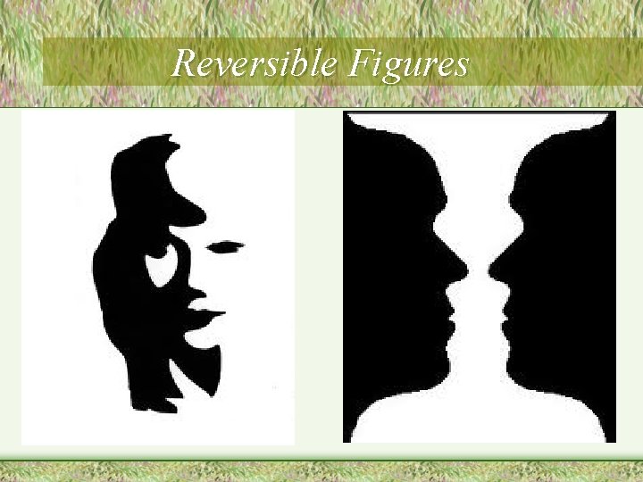 Reversible Figures 