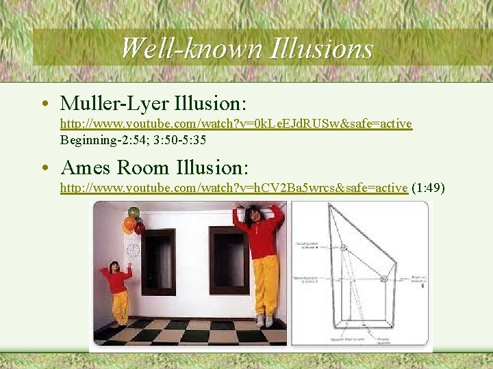 Well-known Illusions • Muller-Lyer Illusion: http: //www. youtube. com/watch? v=0 k. Le. EJd. RUSw&safe=active