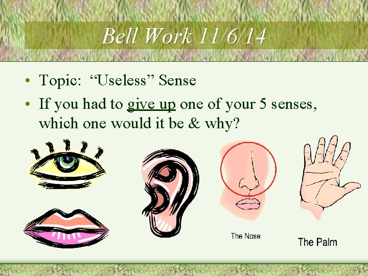 Bell Work 11/6/14 • Topic: “Useless” Sense • If you had to give up