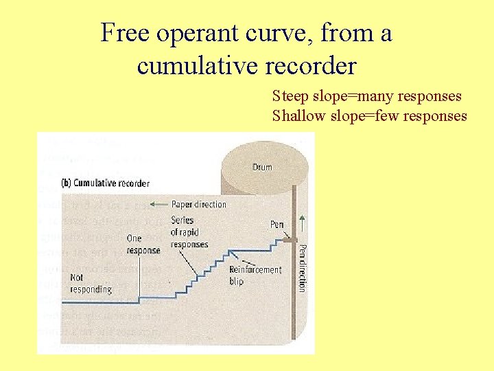 Free operant curve, from a cumulative recorder Steep slope=many responses Shallow slope=few responses 