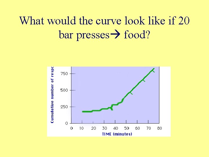 What would the curve look like if 20 bar presses food? 