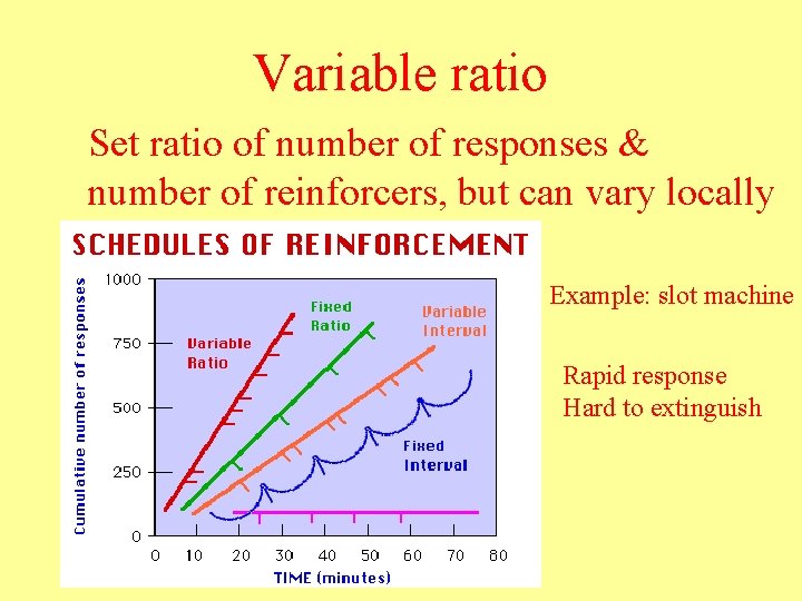 Variable ratio Set ratio of number of responses & number of reinforcers, but can