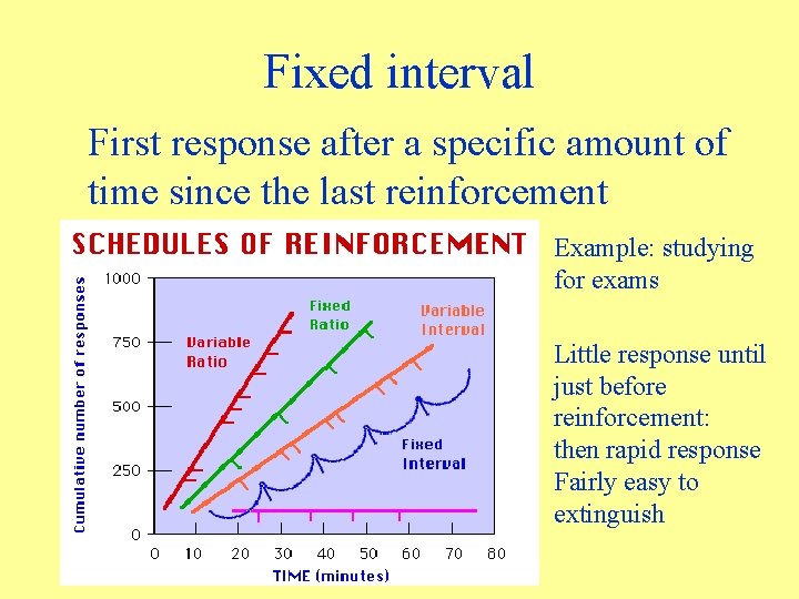 Fixed interval First response after a specific amount of time since the last reinforcement