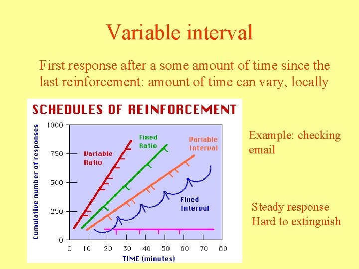 Variable interval First response after a some amount of time since the last reinforcement: