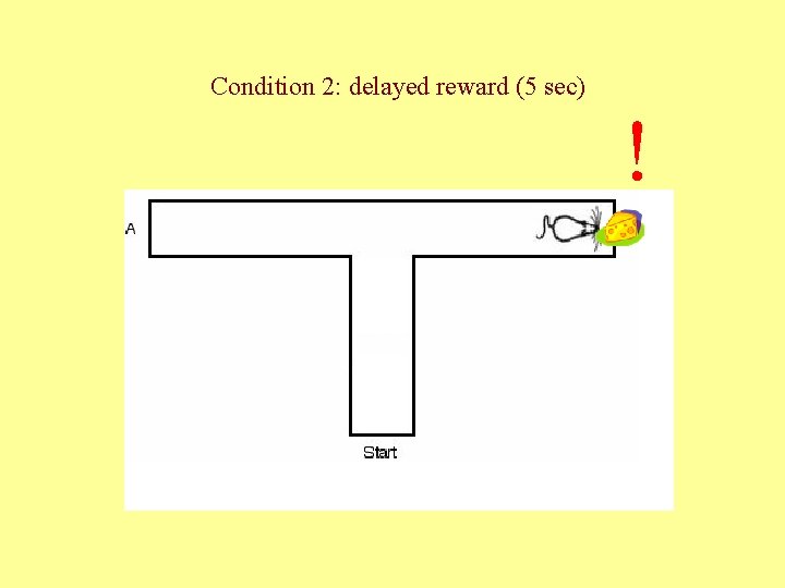 Condition 2: delayed reward (5 sec) ! 