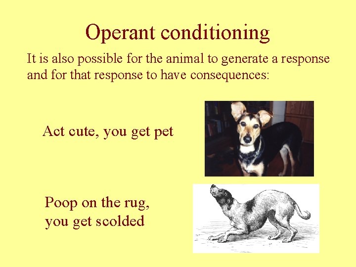 Operant conditioning It is also possible for the animal to generate a response and