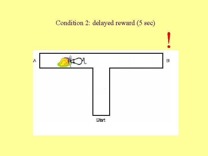 Condition 2: delayed reward (5 sec) ! 