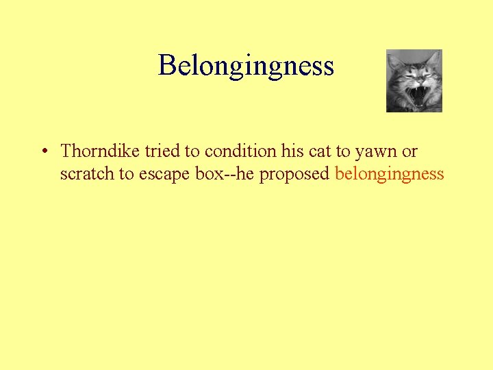 Belongingness • Thorndike tried to condition his cat to yawn or scratch to escape