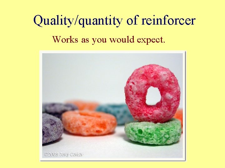 Quality/quantity of reinforcer Works as you would expect. 