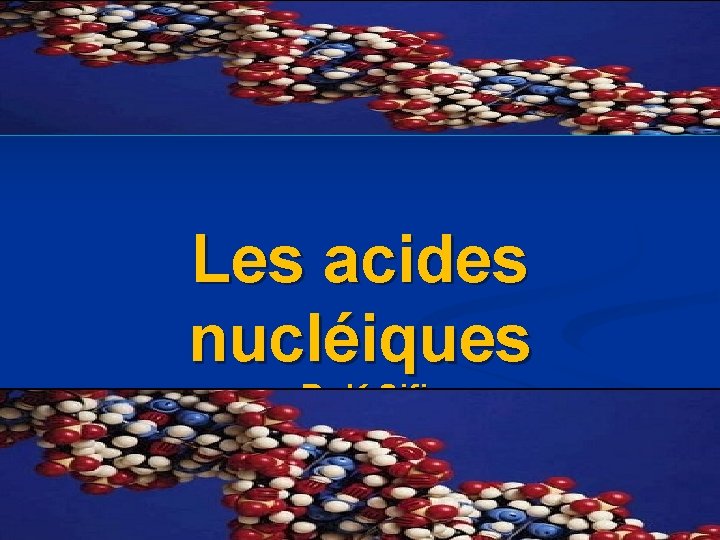 Les acides nucléiques Dr K Sifi 