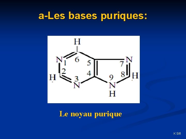 a-Les bases puriques: Le noyau purique K Sifi 