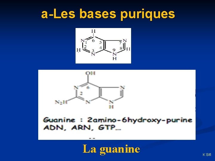 a-Les bases puriques La guanine K Sifi 