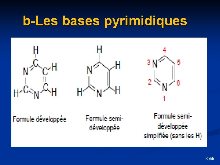 b-Les bases pyrimidiques K Sifi b-Les bases pyrimidiques K Sifi